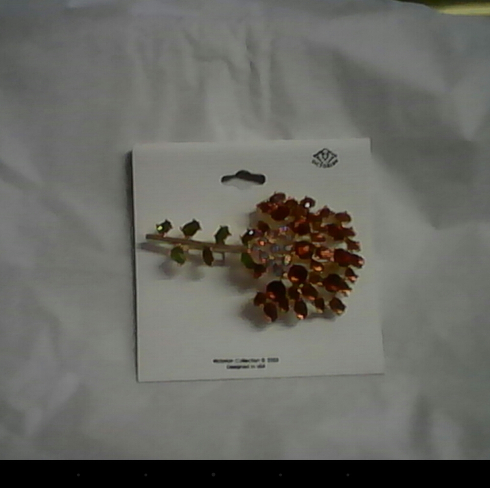 brooch